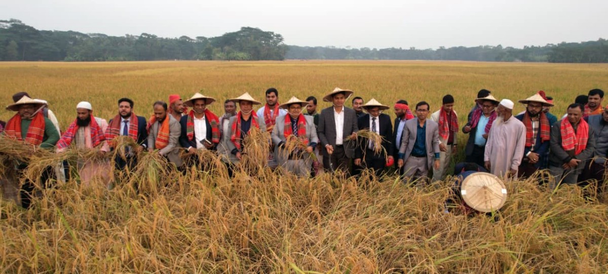 ভোলায় ঐতিহ্যবাহী ‘ধান কাটা ও নবান্ন উৎসব’ অনুষ্ঠিত:প্রধান অতিথি জেলা প্রশাসক ও বিজ্ঞ জেলা ম্যাজিস্ট্রেট ডা. শামীম রহমান